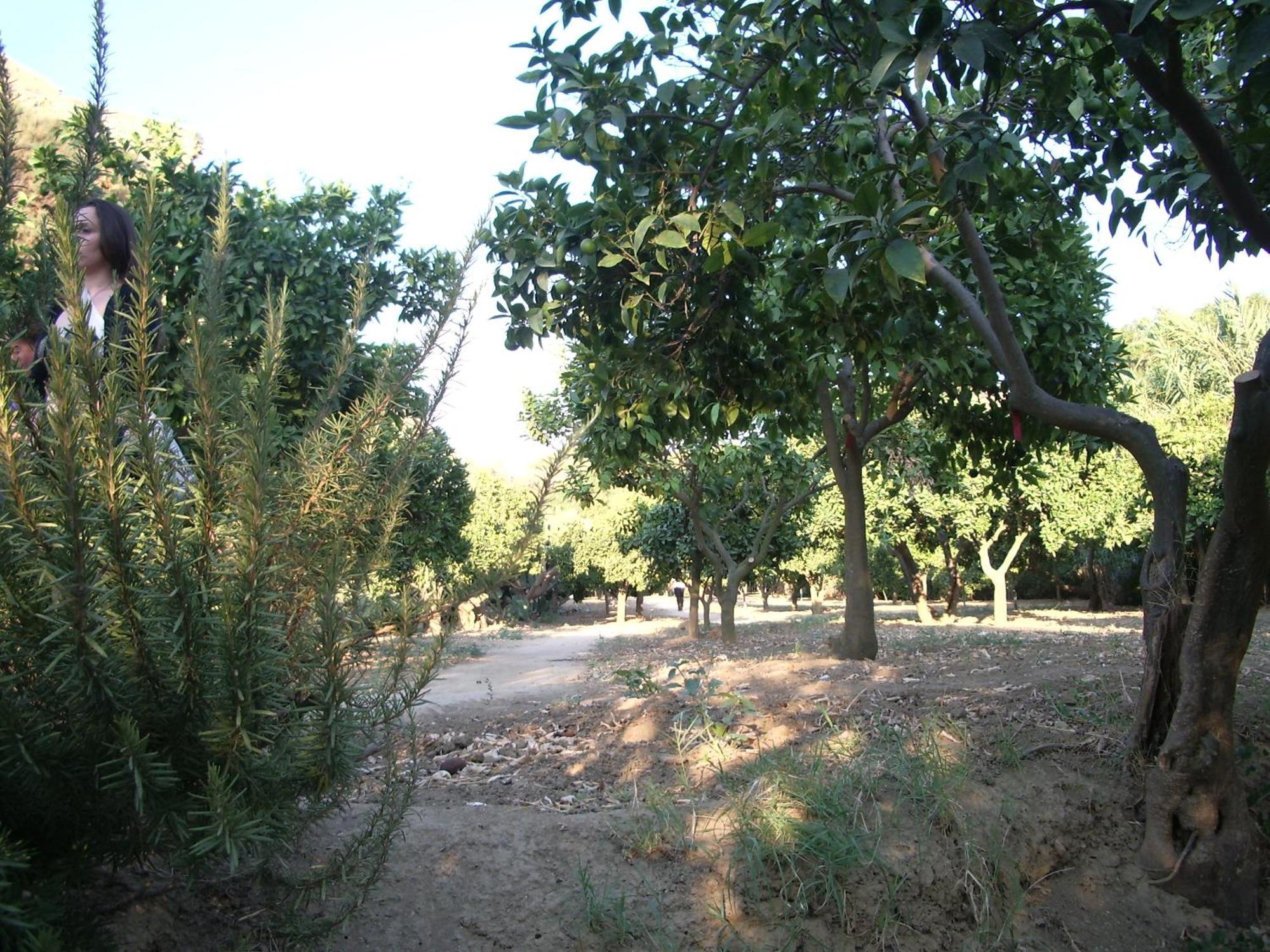 Villa Dei Giardini San Leone Luaran gambar